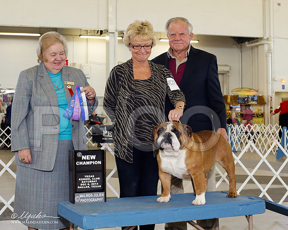 _CL_5415-2-DallasDec2014-HR3