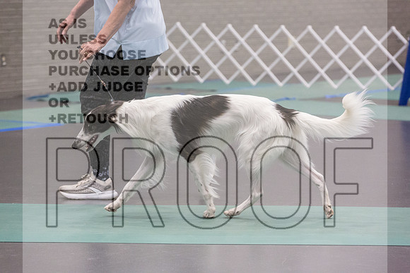 Silken Windhound Ring Sat_JJL_8387_UKCLNGVIEWOCT2024_2024_HR3