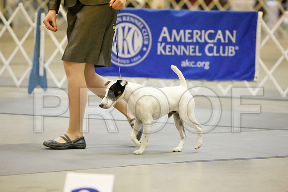 _JJ_3872-AmarilloSept2014-HR3