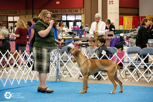 RHOD-0287-FWMar14-HR