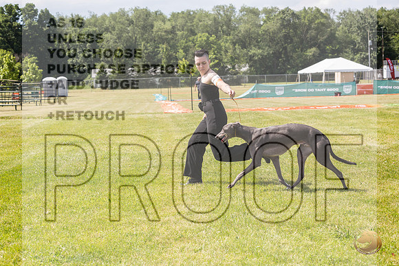 Greyhound #104 Wed_JJL_1692_Premier_2024_HR3