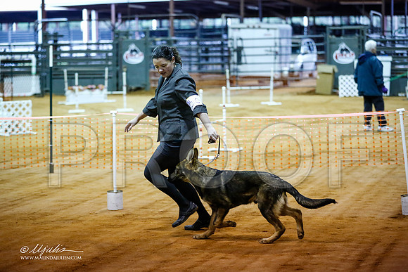 BISpup-3591-MrshllDec13-HR