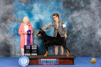 Doberman #40 WED WD NC Judge Nancy Liebes