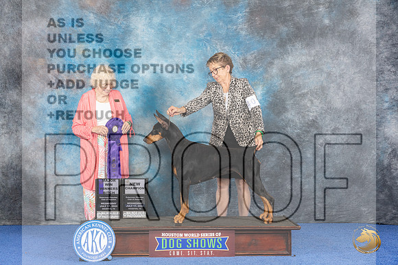 Doberman #40 WED WD NC Judge Nancy Liebes__JP_7306_Houston_2024_HR3