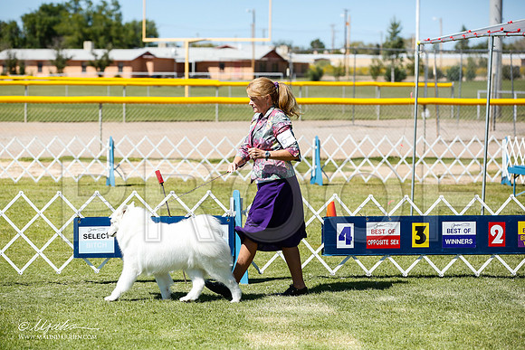 _JN_6808-AlamogordoOct2014-HR3