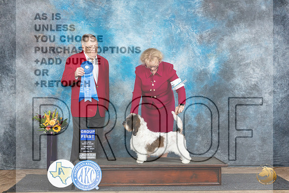 PBGV #6 Sun G1 Judge Dr Don Gill__JP_0030_Abilene_2024_HR3