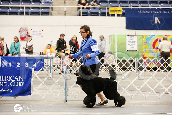 _JJ_0430-AblnMay2014-web
