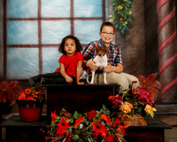 Rat Terrier Vera Boyles Custom Portrait AMD Pd
