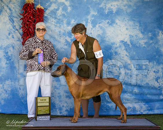 _ST_2690-AlamogordoOct2014-HR3