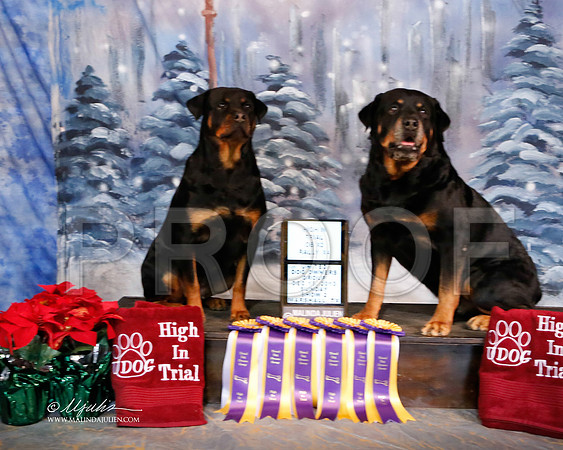 rott-7012-MrshlDec13-HR