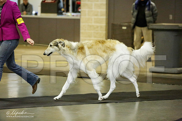 _RH_1481-BeltonJan2015IABCA-HR3