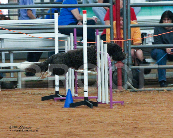 JWW Nov 16-3992-LR