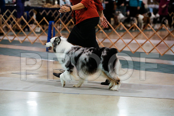 _JN_0071-ASCACollegeStationNov2014-HR3