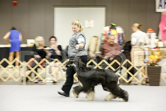 _JJ_9065-AfgBeltonOct2014-HR3