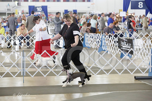 _CK_2325-DallasJul2014-HR3