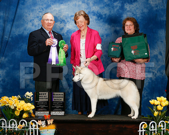_ST_4173-2-AddisonHuskyMar2015-HR3