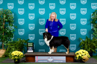 Australian Shepherd #107 Sat G3