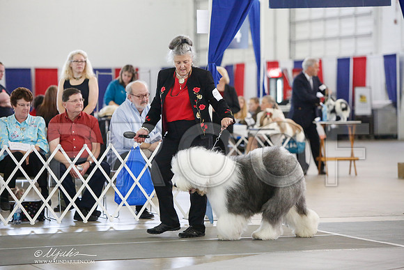 _JJ_3067-DallasJul2014-HR3