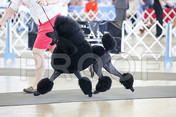 _JJ_7214-DallasJul2014-HR3