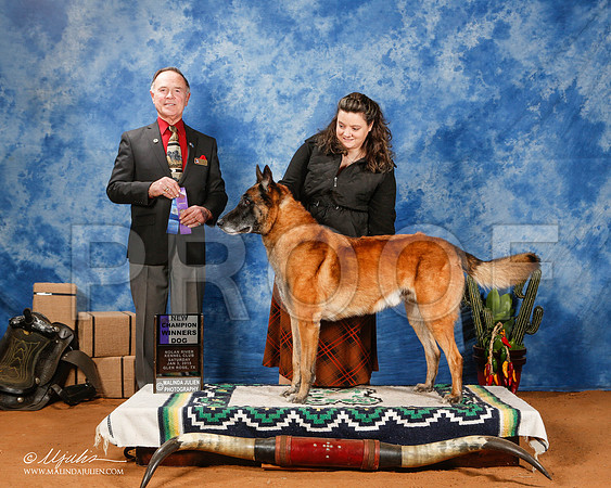 _ST_0944-2-GlenRoseJan2015-HR3