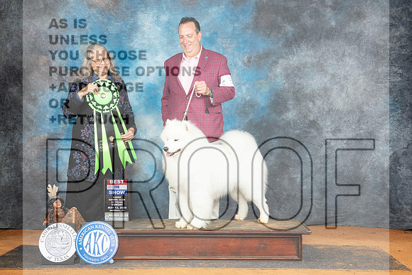 Samoyed #5 Sun BIS Judge Denise Dean__JP_8949_MARSHALL_2024_HR3