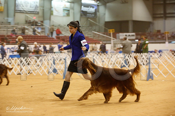 _JJ_7543-GlenRoseJan2015-HR3