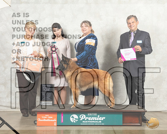 Belgian Shepherd Dog #497 Thur Top108th__MJ_7540_Premier_2022_HR3