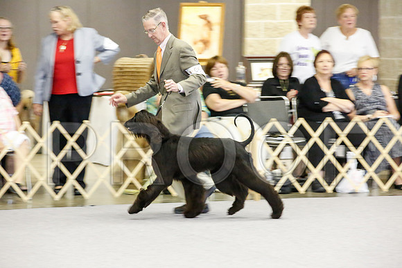 _JJ_2531-AfgBeltonOct2014-HR3