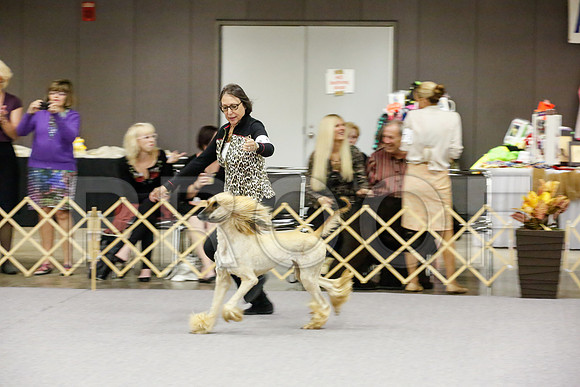 _JJ_8272-AfgBeltonOct2014-HR3