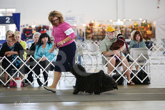 _JJ_3122-DallasJul2014-HR3