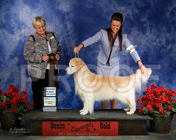 Vet-8371-WFOct2013-HR