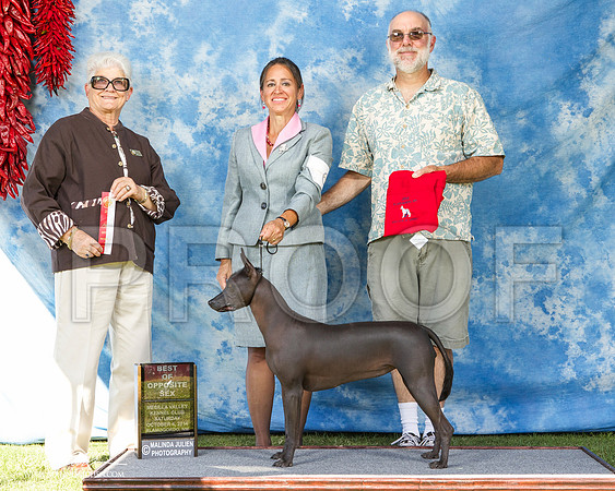 _ST_3043-AlamogordoOct2014-HR3