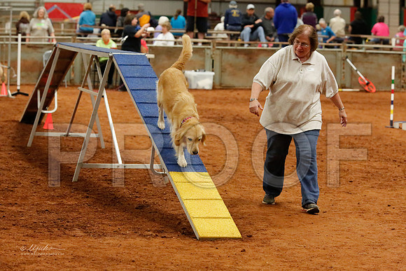 StdNov16-6619-WFOct2013-HR