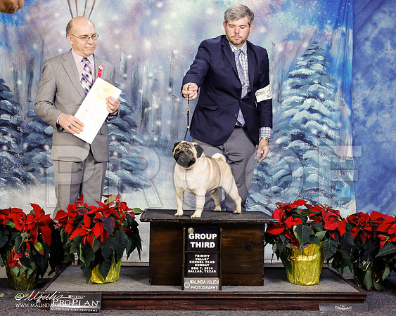 _ST_9456-2-DallasDec2014-HR3