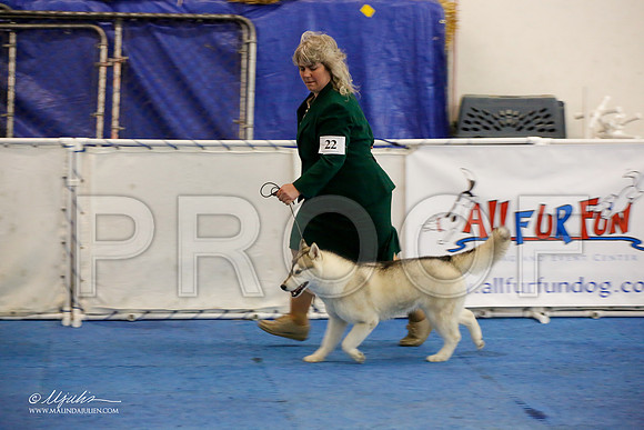 _M3_0834-AddisonHuskyMar2015-HR3