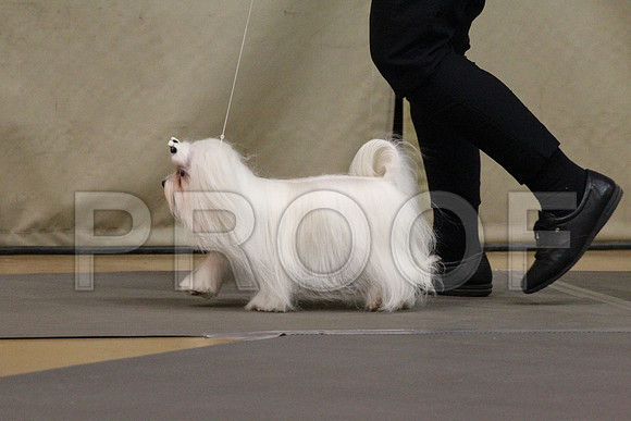MJS_8125