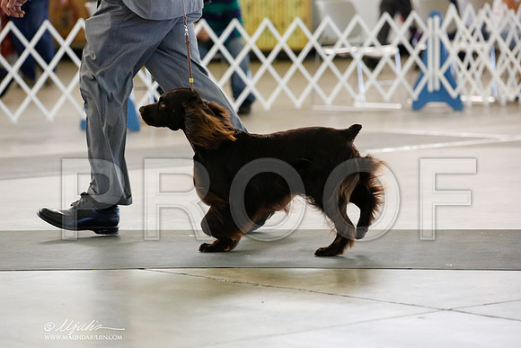 _JN_1537-DallasJul2014-HR3