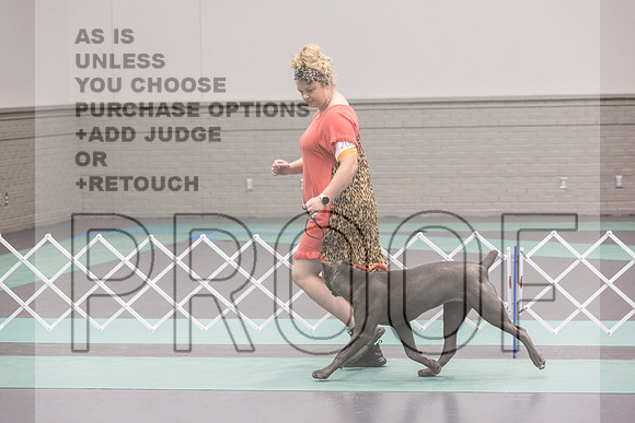 Cane Corso Sat Rings_JJL_8178_UKCLNGVIEWOCT2024_2024_HR3