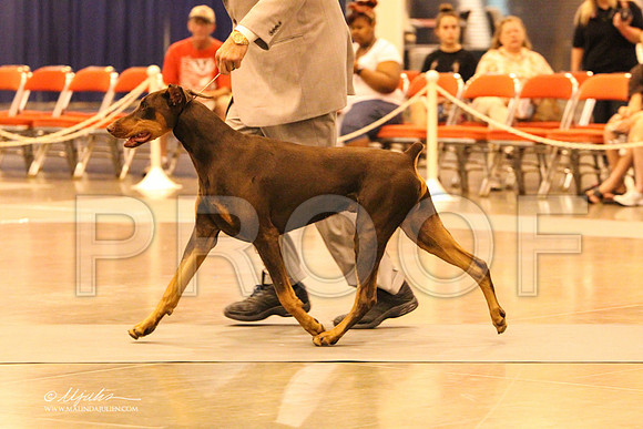Dobe-8915 PROOF
