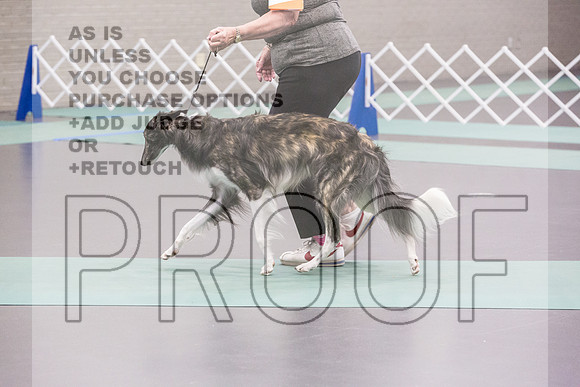 Silken Windhound Ring FRi Ring 1_JJL_5188_UKCLNGVIEWOCT2024_2024_HR3