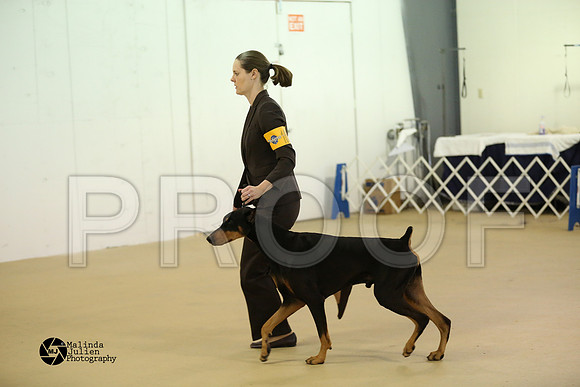 Dobe-0288-HtoJan14-HR