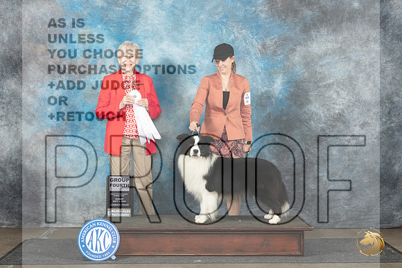 Border Collie #5 Sun G4 Judge Sharon Newcomb__JP_3987_Lubbock_2024_HR3