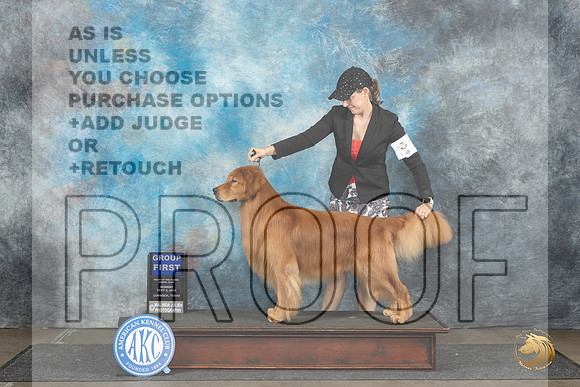 Golden Retriever #15 Mon G1 Judge Debra Thornton__JP_4506_Lubbock_2024_HR3