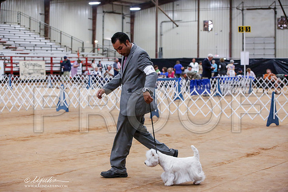 _JJ_8153-TxArJun2014-HR3