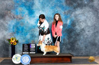 Pembroke Welsh Corgi #17 #J5 Sun WDJRNOV1 Judge Edy Dykstra-Blum