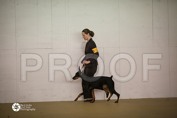 Dobe-7439-HtoJan14-HR