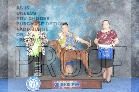 Rhodesian Ridgeback #6 WED NOHS G2 Judge Marilyn Pipes-_JP_7237e_Houston 2024-HR3
