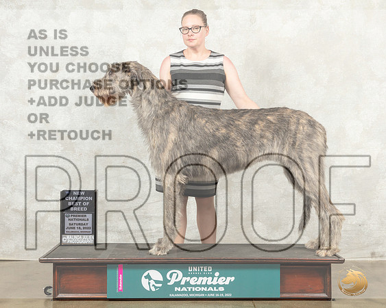 Irish Wolfhound #1225 Sat BOBCh Judge Mary Ellen Meyer__MJ_8643_Premier_2022_HR3