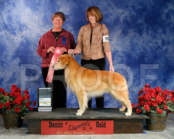 GunDog-9095-WFOct2013-HR
