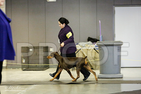 _RH_1593-BeltonJan2015IABCA-HR3